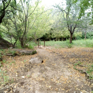 VILLATANTI ,PEDANIA sAN rOQUE, Villa Parque San Roque, Tanti