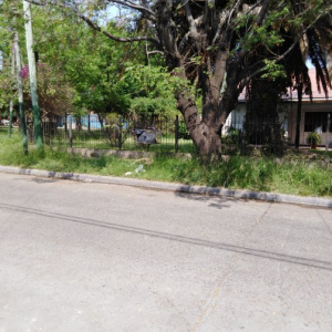 PRESIDENTE PERON 44. BURZACO