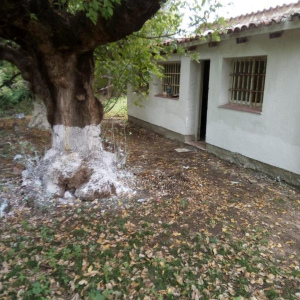 VILLATANTI ,PEDANIA sAN rOQUE, Villa Parque San Roque, Tanti