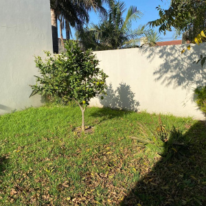 MUZZILLI, Lomas de Zamora, Lomas de Zamora