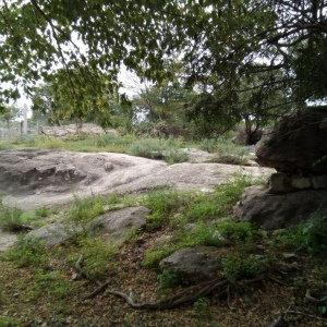 VILLATANTI ,PEDANIA sAN rOQUE, Villa Parque San Roque, Tanti