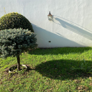 MUZZILLI, Lomas de Zamora, Lomas de Zamora