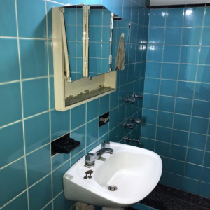 LA VINCHA 369. BURZACO