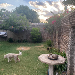 EUSKADY 392, Lomas de Zamora, Lomas de Zamora