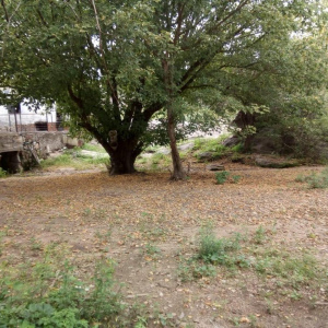 VILLATANTI ,PEDANIA sAN rOQUE, Villa Parque San Roque, Tanti