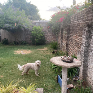 EUSKADY 392, Lomas de Zamora, Lomas de Zamora